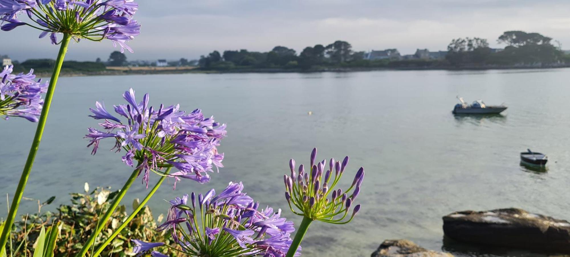 Kelerdut Plage Plouguerneau Buitenkant foto